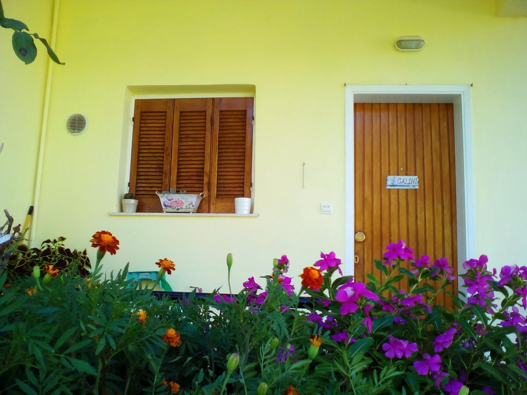 Galini Apartment มิทิคาส ภายนอก รูปภาพ